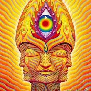 Meet your Posher, Anneke